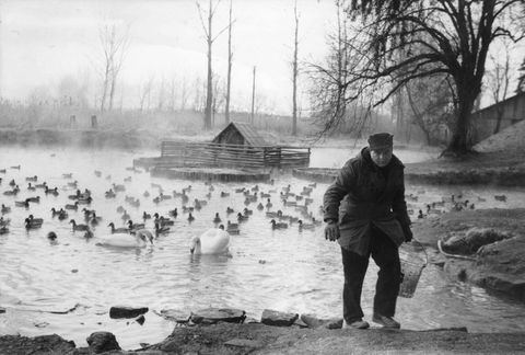 Schauen Sie sich hier ein paar alte Bilder aus der Gemeinde an