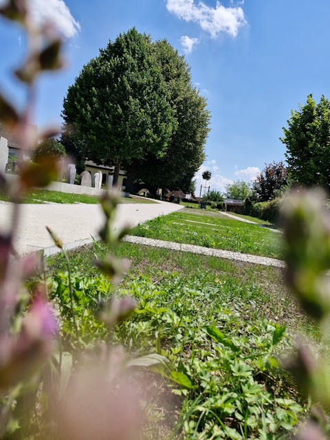 Grabfeld auf dem Friedhof Singen